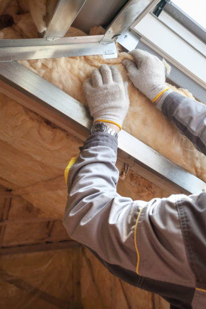 Best Commercial Insulation in Bel Nor, MO