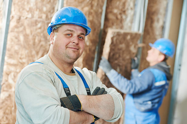 Best Insulation Materials and Products in Bel Nor, MO